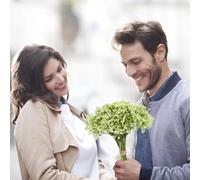 Christmas Flowers Artificial for Wind Bride Holding A Bouquet Full Star Foam Simulation Flower Flowers Fall Artificial Arrangements (Green, One Size)