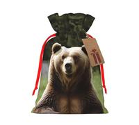 Christmas Gift Bags with Tags Christmas Drawstring Bag Hi Bear Sit on the Lawn Gift Wrapping Sacks Bags Cloth Pouches Personalized Xmas Candy Bag Reusable Party Favor Pouch Medium
