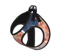 Christmas Gnomes Print Pet Leash Vest Soft Adjustable Step in Puppy Vest Outdoor Walking with Leash