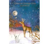 Christmas Greetings From Alnwick Card, Festive Deer Winter Scene Design, 13 x 19 cm