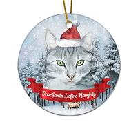 Christmas Hanging Decorations Cute Cat Dear Santa Define Naughty Christmas Tree Decorations With Rope Personalized Keepsake