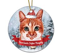 Christmas Hanging Decorations Cute Cat Dear Santa Define Naughty Christmas Xmas Tree Decoration Bauble Personalized Home Decor Keepsake