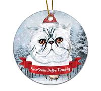 Christmas Hanging Decorations Cute Cat Dear Santa Define Naughty Christmas Xmas Tree Decoration Bauble With Rope Customized Keepsake