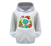 Christmas Hoodie Girls Oversized Christmas Jumper Girls with Dinosaur 3D Print Christmas Sweatshirt with Hood Casual Winter Chirstmas Sweat Jacket Christmas Hoodie Xmas Pullover Hoodie, gray, 170