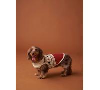 Christmas jumper for dogs FAMILY red