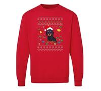Christmas Jumper Sweatshirt - Cute Dachshund Sausage Dog Print Fairisle Sweater - Perfect Unisex Present for Friends, Family or Secret Santa! - Red - M