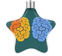 Christmas Left and Right Brain Advantage Printed Star-Shaped Ornaments Exquisite Christmas Tree Decorations Star-Shaped Holiday Decorations