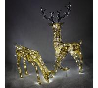 Christmas Light Up Reindeer Gold Stag & Doe Set