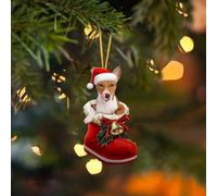 Christmas Lights Outdoor Santa Boot Funny Christmas Dog Acrylic Ornament Dogs Ornament Stocking Animal Decoration (A, One Size)