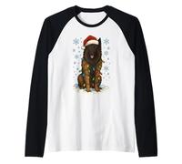 Christmas Lights Wrapped On Cute Belgian Shepherd Lover Raglan Baseball Tee