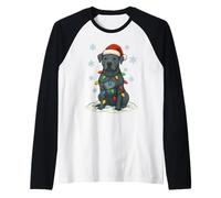 Christmas Lights Wrapped On Cute Blue Gray Pitbull Dog Lover Raglan Baseball Tee