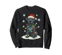 Christmas Lights Wrapped On Cute Blue Gray Pitbull Dog Lover Sweatshirt