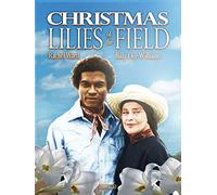 Christmas Lilies of the Field