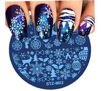 Christmas Nail Stamper Kit Snowflakes Nail Art Stamping Plates Xmas Manicure Tools Style1, Home Décor