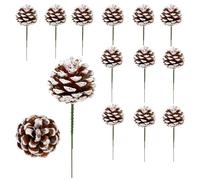 Christmas Natural Pine Cones, Snow Tipped Natural Pine Cone, Christmas Tree Decoration Sticks for Craft Garland Xmas Tree Decorations Wreath Ornaments 20Pcs