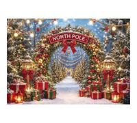 Christmas North Pole Photography Backdrop,Winter Aurora Borealis Snowy Forest Scene Background with Street Lamps,Xmas Party Decor Photo Booth Props(10x8ft)
