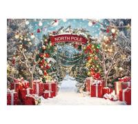 Christmas North Pole Photography Backdrop,Winter Aurora Borealis Snowy Forest Scene Background with Street Lamps,Xmas Party Decor Photo Booth Props(12x8ft)
