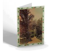 CHRISTMAS NOTELET - Vintage Derbyshire - Matlock Bath. The Lover's Walk (b)