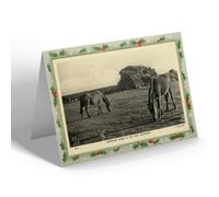 CHRISTMAS NOTELET - Vintage Devon - Dartmoor Ponies at the Tors, Yelverton