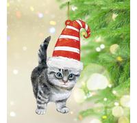 Christmas Ornaments 2024 Cute Cat with Santa Hat Acrylic Hanging Ornaments Kitten's First Christmas Souvenir Cat Kitten First Keepsake Collectible Gift Tree Decoration Stocking Name Tag Transparent