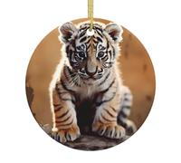 Christmas Ornaments 2025 A tiger cub Ornaments for Christmas Tree Decorations Round Ceramic Hanging Decorations Crafts Pendants Hanging Ornament for Holiday Wedding Party Xmas Decor Gifts