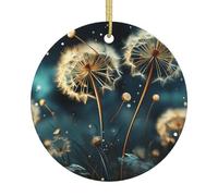 Christmas Ornaments 2025 Personalized Round Ceramic Ornaments for Christmas Tree Winter Holiday Keepsake Gift Dandelion Flowers in the Sky Christmas Tree Hanging Decorations Star Ceramic Pendant