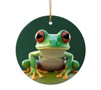 Christmas Ornaments Ceramic Decorative Hanging Ornament Green Funny Frog Round Porcelain Ornament Funny 2025 Ornaments Personalized Xmas Tree Pendant Keepsake Crafts Gift 2.9
