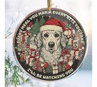 Christmas Ornaments Decorations - 3.6 in Acrylic - Gag Gifts - Nasty Naughty Gifts - White Elephant - Stocking Stuffers (Every Meal You Make Every Bite You Take I'll Be Watching You 3)