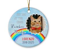 Christmas Ornaments See You At The Rainbow Bridge Ceramic Hanging Personalized Ceramic Baubles Beautiful Xmas Round Shape Hanging For Graduation Home Family 7.3Cm