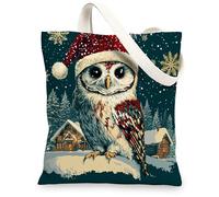 Christmas Owl Bird Canvas Tote Bag for Shopping 13 * 15, Xmas Snowy Forest Reusable Grocery Bag for Women, Winter Work Travel Painting Gift Decor