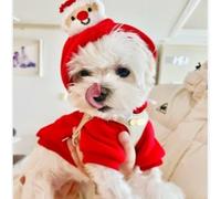 Christmas Pet Hoodie for Dogs and Cats, Santa Claus & Christmas Tree Design, Winter Warm Pullover with Drawstring, Clothing for Teddy Pug Small Medium Pets(Red Drawstring Old Man,XXL)