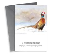 Christmas pheasant card - Funny - Hope you weren't expecting a present!