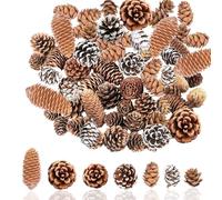 Christmas Pine Cones for Home Party Crafts Gift,60P Natural Pine Cones for Christmas Wreath Making,White PineCones Like a Peak Tower PinesCone Autumn Fall Decor Wedding,Mini / Big Pinecones Xmas Tree