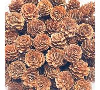 Christmas Pine Cones, POTWPOT 100 Pieces Natural Pine Cones Rustic Pine Cone Mini Pine Cones for Christmas Party Ornament DIY Crafts Home Decoration(2-3cm)