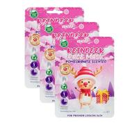 Christmas Printed Sheet Mask 25ml x Pack of 3 - Pomegranate - Freshen Up Your Skin Over the Holidays - This 15 Minute Sheet Mask Purifies and Rehydrates Skin for a Fresher Looking Appearance