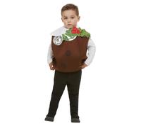 Christmas Pudding 3D Costume Childrens Nativity School Play Fancy Dress Outfit B