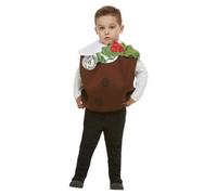 Christmas Pudding 3D Fancy Dress Costume Kids Unisex Medium / Large