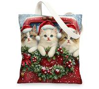 Christmas Ragdoll Cats Canvas Tote Bag for Shopping 13 * 15, Funny Xmas Truck Reusable Grocery Bag for Women, Pet Travel Painting Gift Decoration