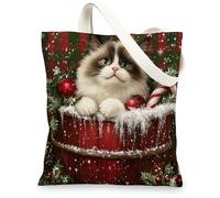 Christmas Ragdoll Cats Canvas Tote Bag for Shopping 13 * 15, Xmas Farmhouse Plaid Reusable Grocery Shoulder Cloth Bag for Women, Pet Painting Gift Decor