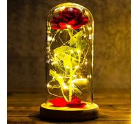Christmas Rose Gifts for Women Beauty and the Beast Rose Birthday Gifts for Women Eternal Rose Flower Gifts for Her Mum Girlfriend Nan Sister Wife Wedding Anniversary Light Up Flower in Glass Dome