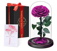Christmas Rose Set for Women | Eternal Forever Rose in Glass Dome | Flower Preserved for 5 Years | Handcrafted | Beauty and the Beast Romantic Gifts for Her | Anniversary,Valentine’s day, Purple