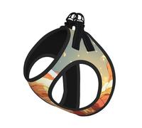 Christmas Santa Print Pet Leash Vest Soft Adjustable Step in Puppy Vest Outdoor Walking with Leash