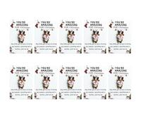 Christmas Series Holiday Cards, 10 Little Pocket Hug Christmas Gifts Cards, Bulk Resin Positive Pocket Hug Token Emotional Appreciation Gifts for Coworker Staff Employee Family Friends (Deer)
