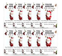 Christmas Series Holiday Cards, 10 Pcs Little Pocket Hug Christmas Gifts Cards, Bulk Resin Positive Pocket Hug Token Emotional Appreciation Gifts for Xmas Coworker Staff Family Friends (H)