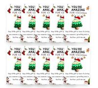Christmas Series Holiday Cards, 10 Pcs Little Pocket Hug Christmas Gifts Cards, Bulk Resin Positive Pocket Hug Token Emotional Appreciation Gifts for Xmas Coworker Staff Family Friends (G)