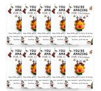 Christmas Series Holiday Cards, 10 Pcs Little Pocket Hug Christmas Gifts Cards, Bulk Resin Positive Pocket Hug Token Emotional Appreciation Gifts for Xmas Coworker Staff Family Friends (A)
