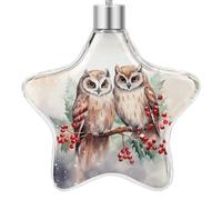 Christmas Small Ornament Star Decoration DIY Embellishments With Lanyard Two Owls on The Tree Printed for Christmas Tree Decoration