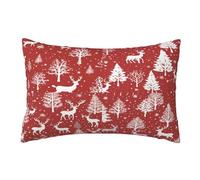 Christmas Snow Cushions - Set of 2, 40x60 cm Decorative Pillows with Invisible Zipper - Throw Pillow Covers for Home Bed Room Decor, 16x24 Inch, Y371