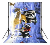 Christmas Snow Milk Cow Print Photo Studio Background 5x7ft Soft Photo Backdrop Curtain For Studio Content Creator Equipment