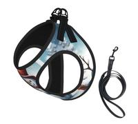 Christmas Snowman Print Step in Dog Harness and Leash Set,Adjustable Reflective Harness for Small Dogs Cats